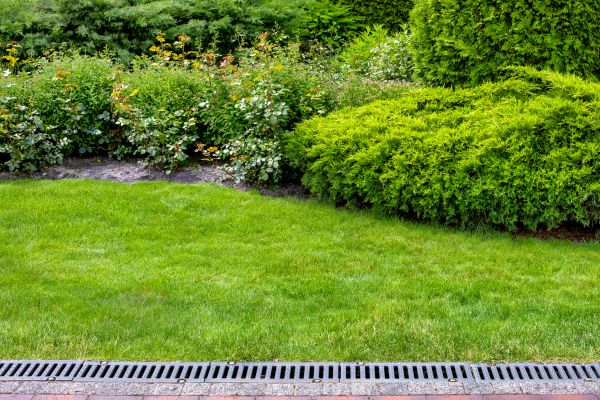 Surface Water Drainage
